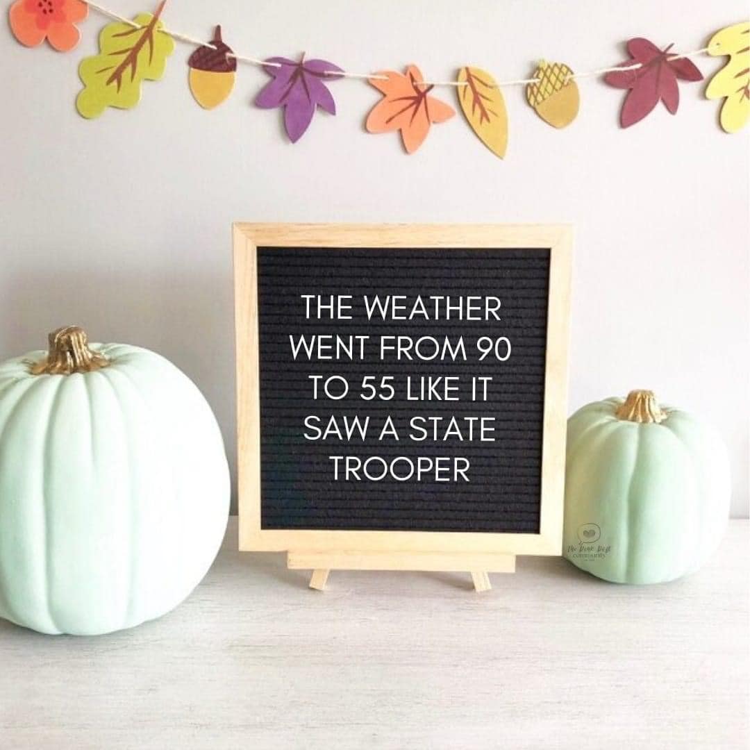 And I LOVE it. 😂😍 
Are you loving the fall change or missing the summer weather?